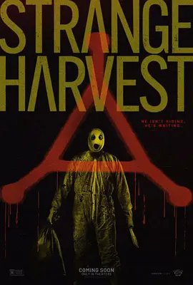 免费国产h视频在线观看86