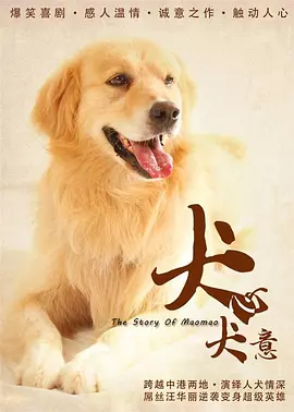 精品一区二区三区视频在线观看免
