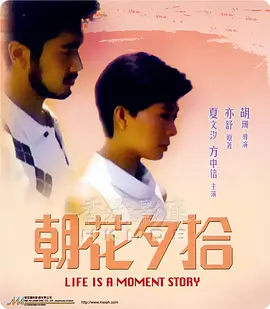 老司机午夜精品视频播放