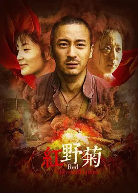 dy888午夜