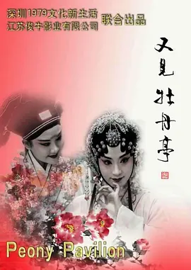 无遮挡激情视频国产在线观看