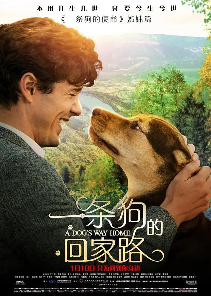 免费一级淫片aa