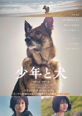 久久久久精品国产亚洲av麻豆
