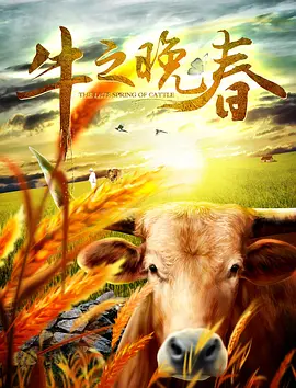欧美一区二区三区分类视频 - BD国语手机免费观看完整