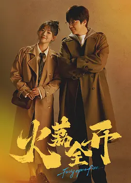 日韩美女视频在线网站视频