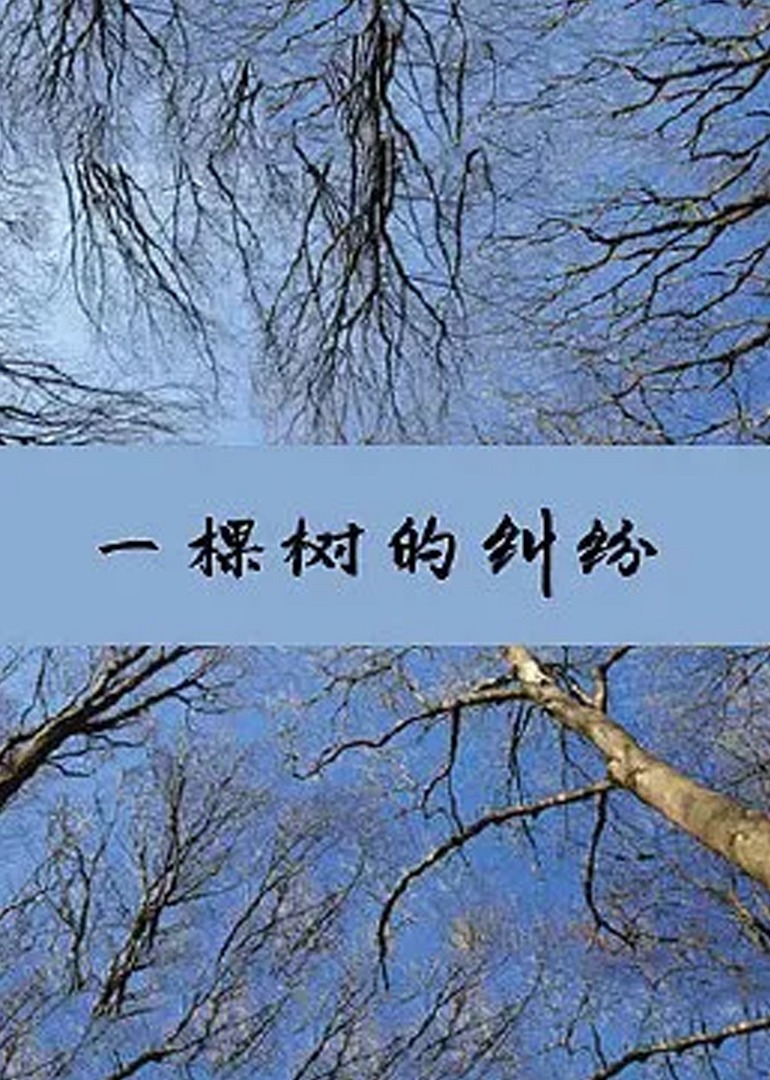 一区二区三区人妻斩50岁黄色网站