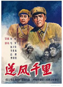 在线观看无需下载