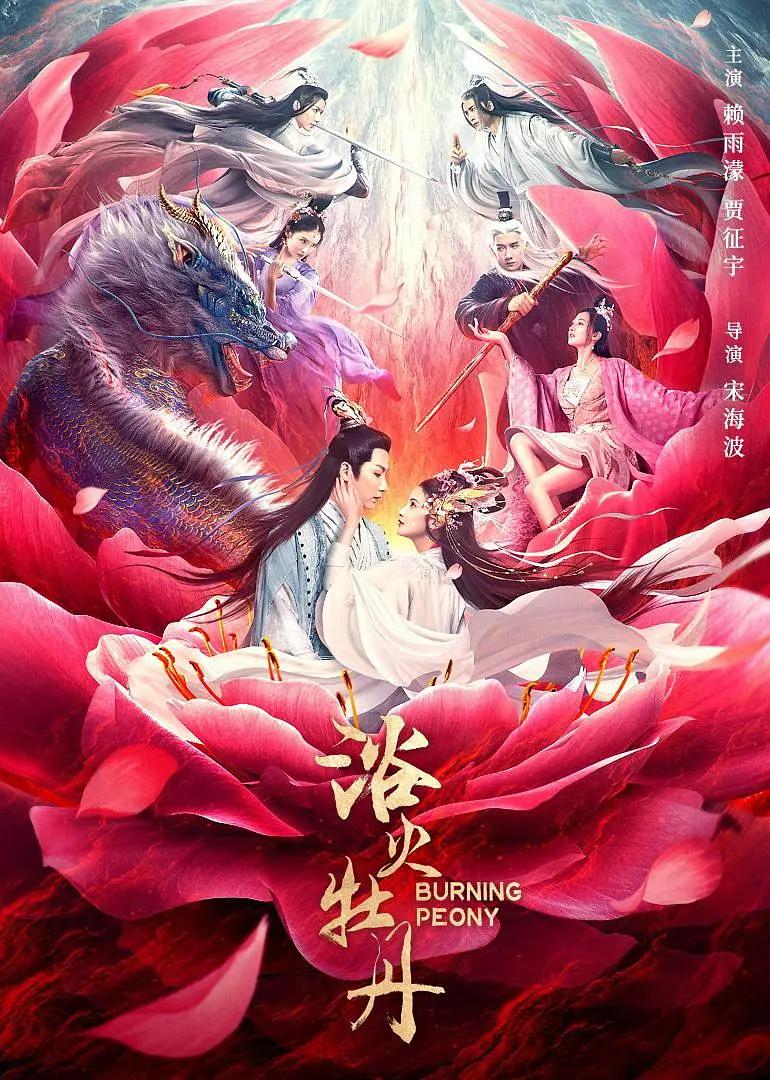 五月天婷婷在线观看