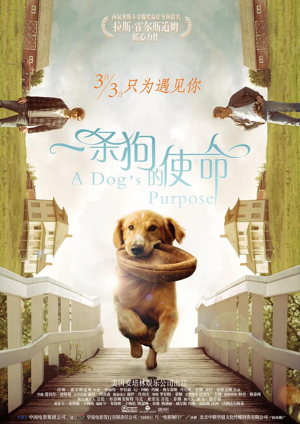 国产成人精品免高潮在线观看 - 1080P电视剧在线观看