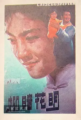 无毒不卡在线观看无需下载