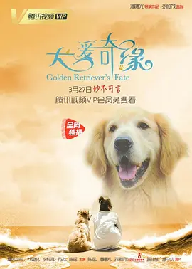 国产乱子精品免费观看片
